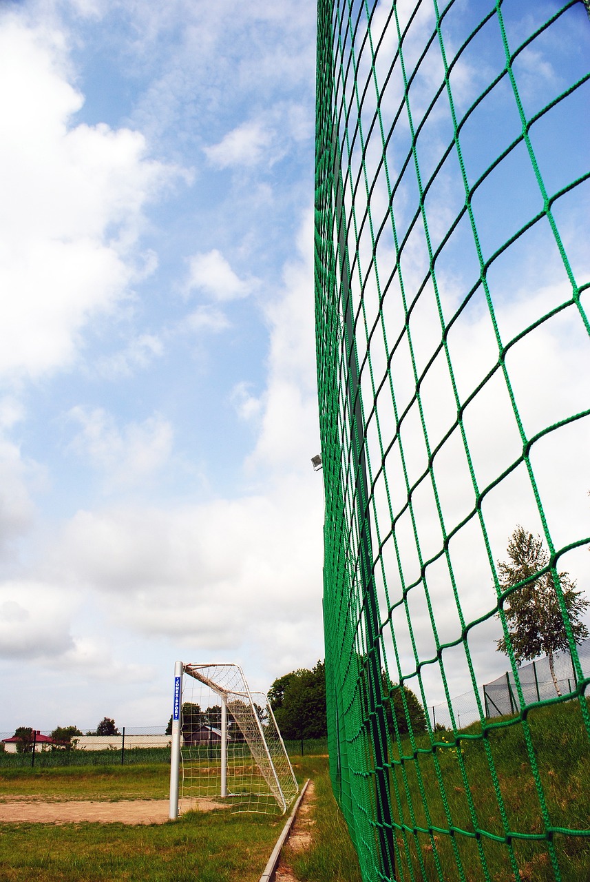 迅速赢得了 迅速赢得了