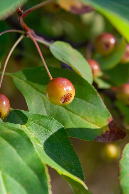 斯特的辞职 斯特的辞职