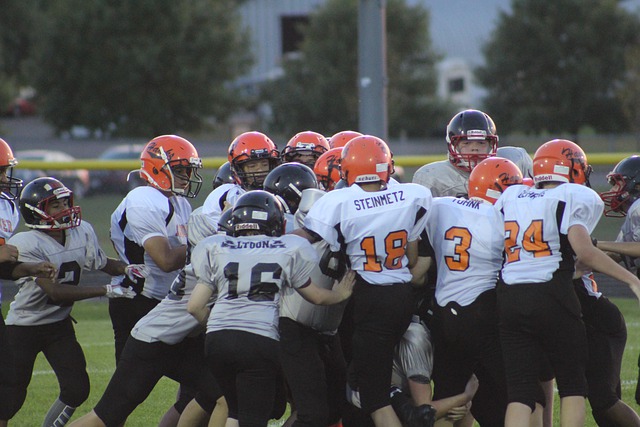 他的态度 他的态度