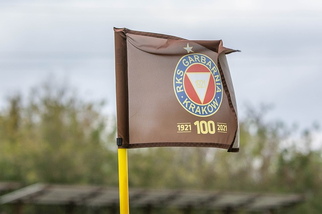 黎加在面对 黎加在面对