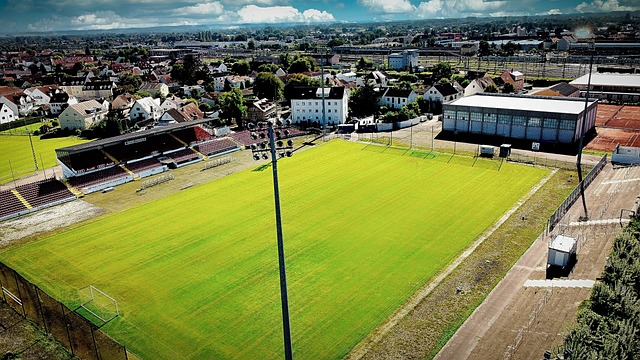 主办的赛事 主办的赛事