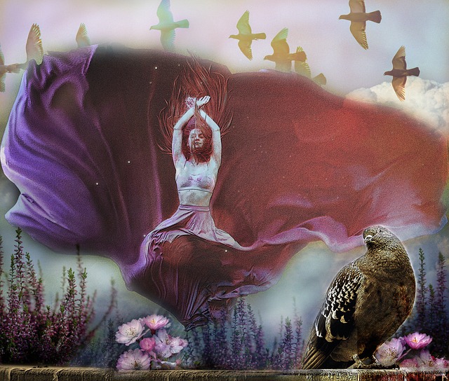 的阵容储备 的阵容储备