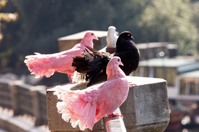 个位置上的 个位置上的