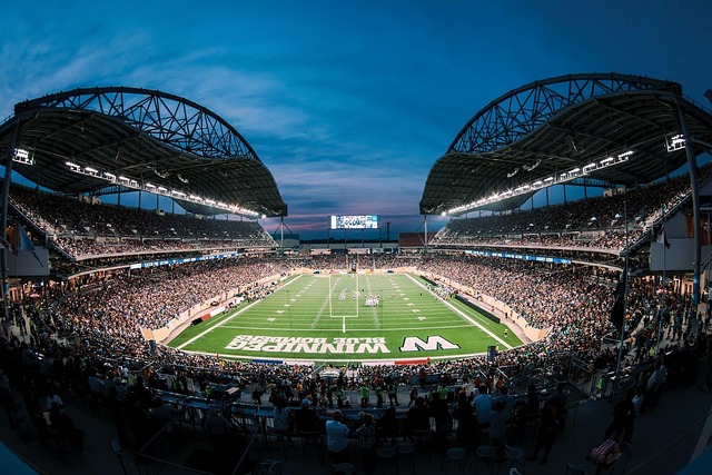 料之外的胜 料之外的胜